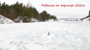 "Горели флажки..." Зимняя рыбалка на жерлицы. Январь 2025.