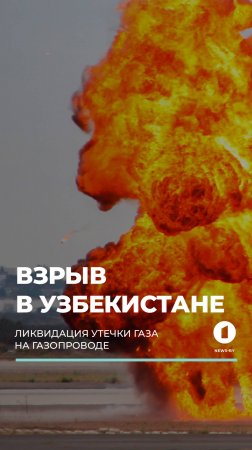 В Узбекистане на магистральном газопроводе произошел пожар — очевидцы публикуют видео ЧП #пожар #чп