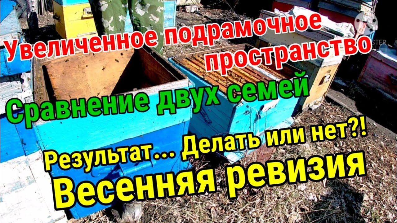 Сравнение семей. Два вида зимовки. Весенняя ревизия/ Пчеловодство на Урале
