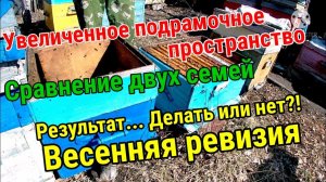 Сравнение семей. Два вида зимовки. Весенняя ревизия/ Пчеловодство на Урале