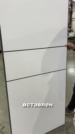 🚪📹 ВИДЕООБЗОР НА МОДЕЛЬ «LINE 2»!