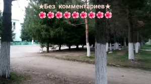 Тылды-Суу.  Необычайно красивая природа Элебаева / Весна 2019