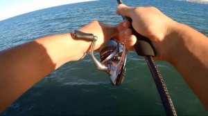 Осенняя Ловля Саргана