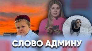 Привет от Хасбика, аниматор в шкафу и объятия с собакой / «Слово админу»