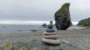 Поездка с гостями из КНР (Бухта Тихая, мыс Птичий, мыс Великан)