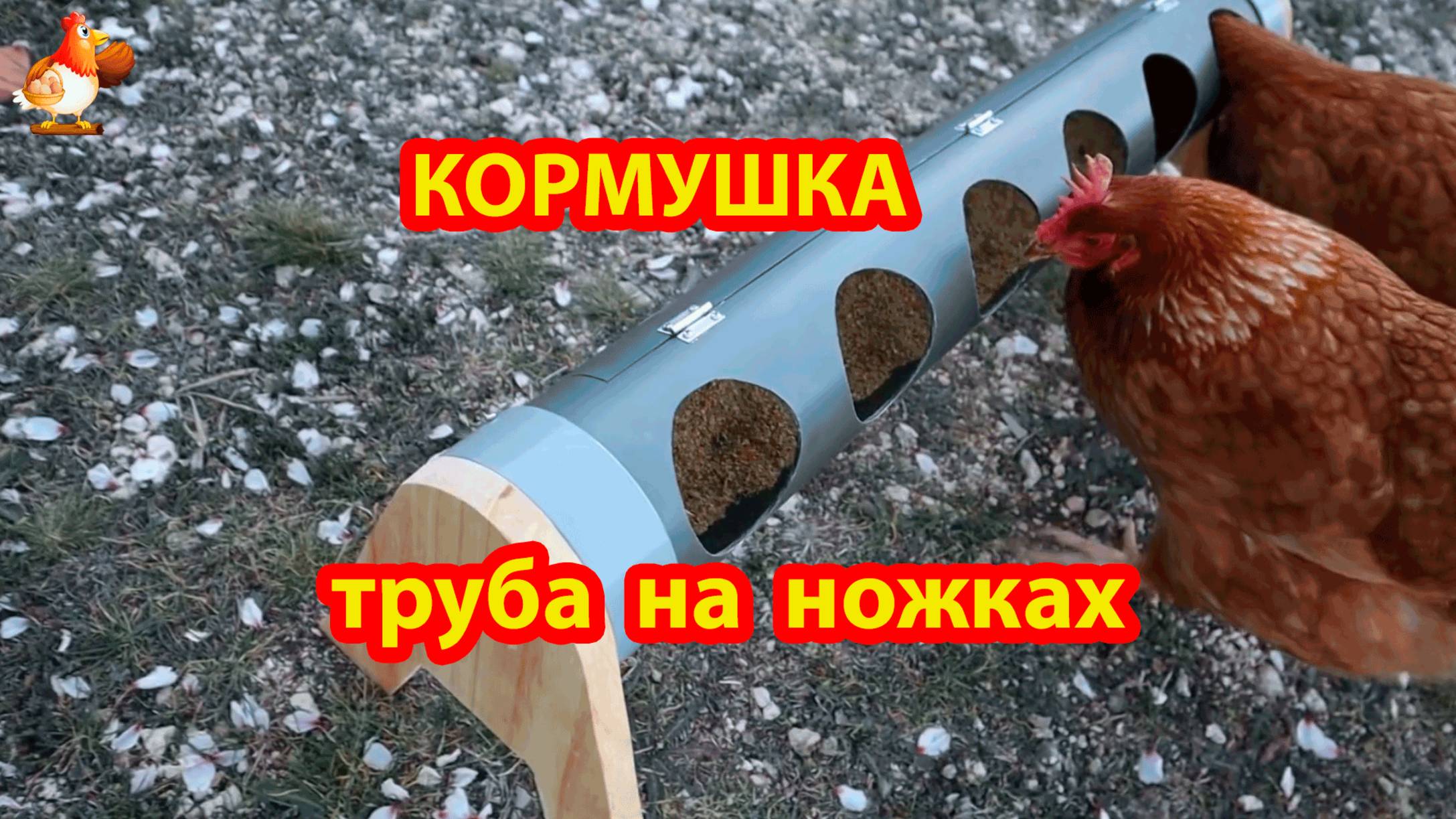 Кормушка курам из трубы на ножках и с дверкой для наполнения кормом 💦🐓❣️