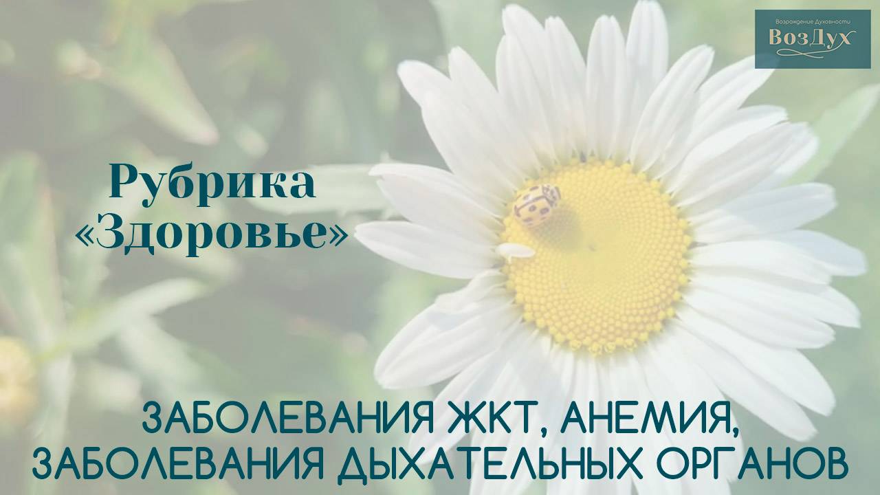 Заболевания ЖКТ | Анемия |Заболевания | Листья подорожника | Татьяна Бекаревич