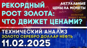 Рекордный рост золота: что движет ценами? Анализ рынка золота, серебра, нефти, доллара 11.02.2025 г