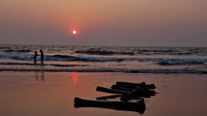 Арамбольские будни на пляже Гоа в 2025