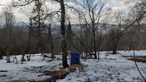 Привада на медведя 2022.