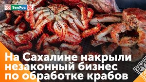 Сотрудники ФСБ изъяли более 2 тонн краба и крабового мяса на Сахалине