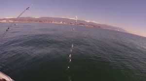 Морская рыбалка в Сочи на рассвете. Наш неожиданно впечатляющий трофей