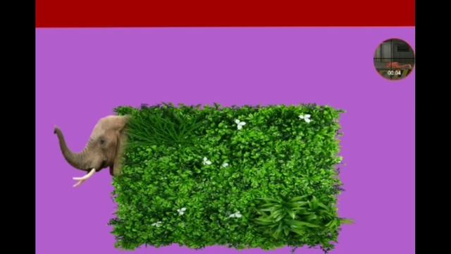 Мышка сосиска улитка открытка слон газон баран банан смотреть онлайн