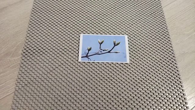 Читаем короткие предложения о весне. Глобальное чтение. смотреть онлайн