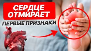 5 симптомов, которые КРИЧАТ о проблемах с сосудами! / Почему такая тяжесть в ногах?