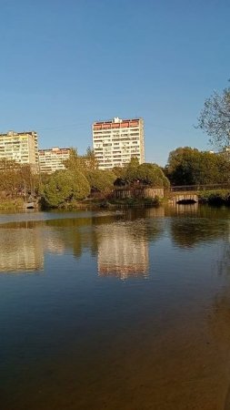 парк в Новогиреево.