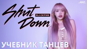 BLACKPINK - Урок танца «Shut Down» | Belleits MINIZIZE