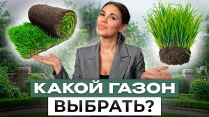 ТАКОЙ газон ПОДОЙДЕТ ВАШЕМУ УЧАСТКУ лучше всего! / Какой газон выбрать для дома и дачи?