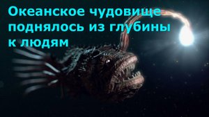 Чёрный удильщик Джонсона впервые выбрался из мрачной пучины океана на поверхность