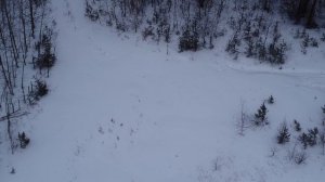 Приключения выходного дня