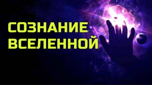 Может ли у Вселенной быть свое сознание?