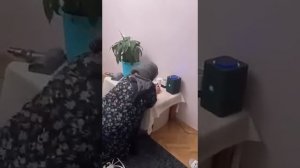 Бабушка выиграла битву по беседе с Алисой 😂