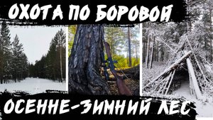 Охота на рябчика и тетерева: осенние и зимние прогулки по лесу! 🪶❄️