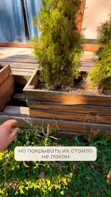 Чем покрасить дерево?