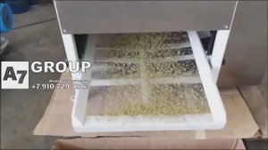 Ромашка:Отделитель цветков ромашки от стебля #ромашка #сушка