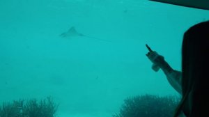 Pullman Maamutaa Maldives | Лучший отель All-inclusive на юге Мальдив