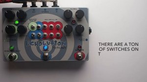 Pigtronix Echolution Analog Tap Tempo Delay Guitar Effects Pedal Demo