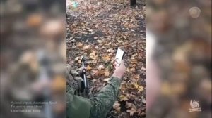 Мам, это твои сыновья, мои братья.