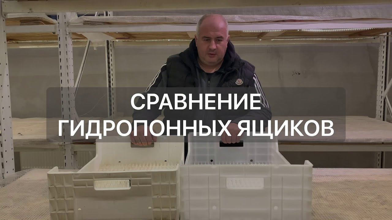 Выгонка тюльпанов к 8 Марта. Цветочный бизнес. Сравнение гидропонных ящиков.
