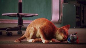 Stray 5 – Кошачья жизнь, полная тайн