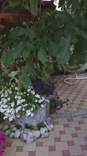 Гостевой дом на Ростовской 50