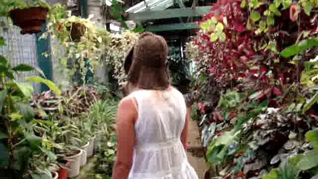 Шри Ланка 2011 Канди Ботанический сад смотреть онлайн