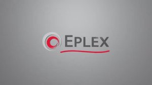 Отзыв управляющего компанией Евромоторс о работе с компанией Eplex