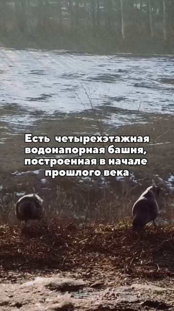 А вы знаете это о Суздале?