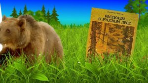 Лесное книжное дефиле