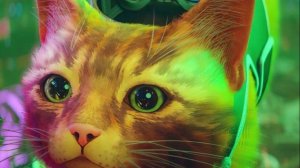 Stray 6 – Этот мир не для людей