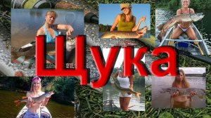 Щука. Хитрости лова или всё что нужно знать при ловле по открытой воде.