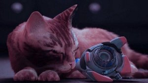 Stray 4 – Тёмные улицы, светлые надежды