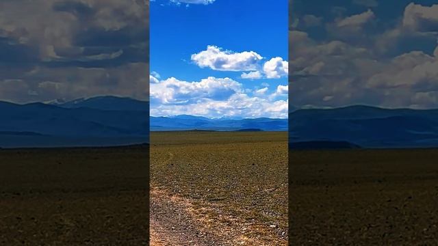 ГОРНЫЙ АЛТАЙ Кош-Агач  степь