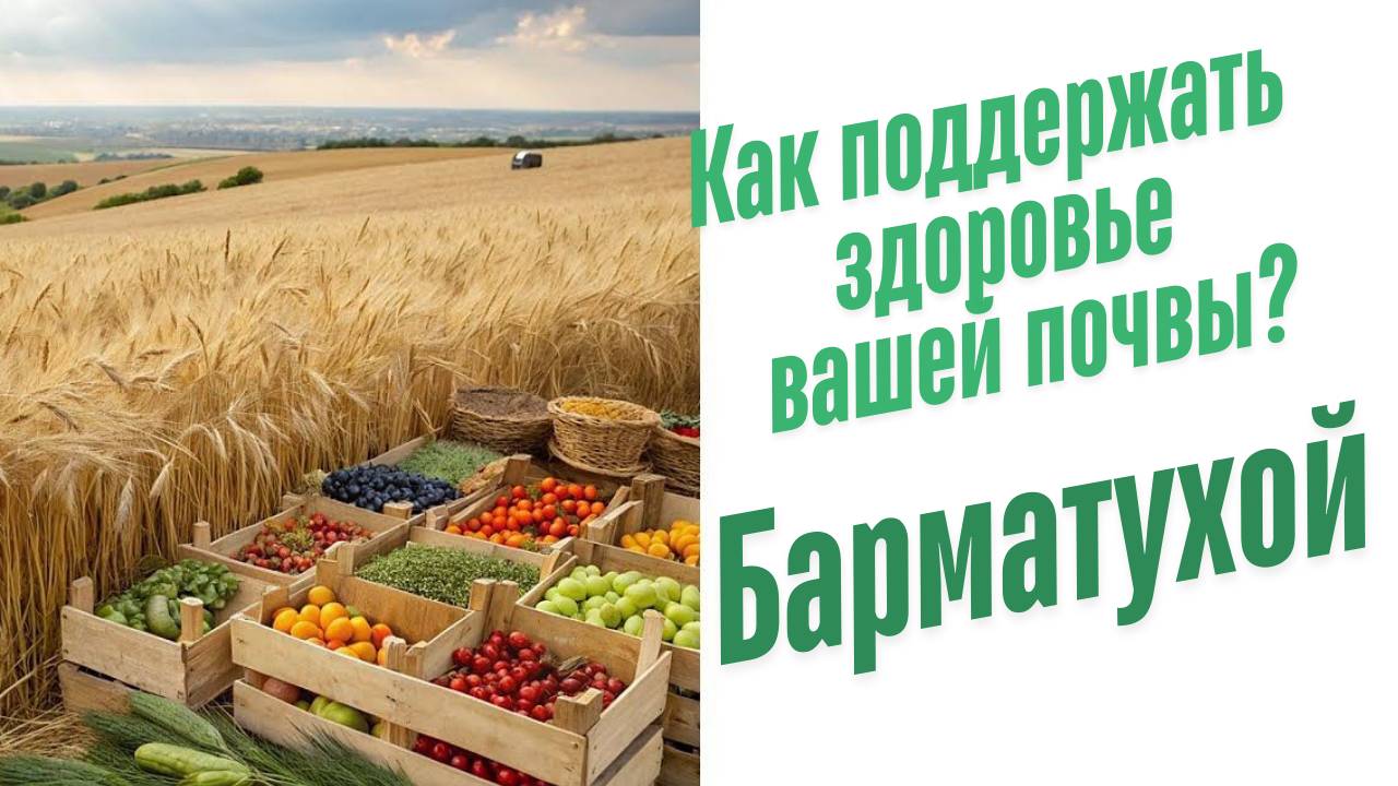 Действие органических удобрений.