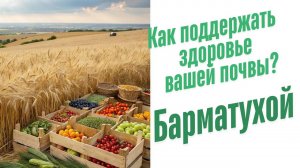 Действие органических удобрений.