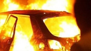 Николаев 12 февраля 2025 года (новости)