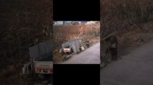 Немного трэша.