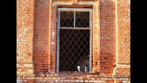 М  Лермонтов  Сосед  #философскаялирика  #стихиососвободе #поэты19века