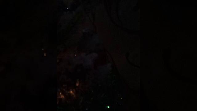 новогодние видео