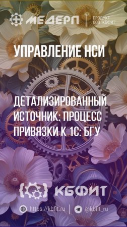 КБФИТ: МЕДЕРП. Управление НСИ: Детализированный источник: процесс привязки к 1С: БГУ. Ч.2.